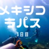【メキシコ・ラパス旅】2024-5年冬！！アシカと沈船ダイビング！！-3日目-