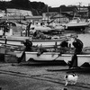 記憶の旅猫・利休鼠の雨の島にて。