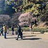 1月30日　イマジネーションとは記憶のことだ。
