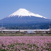 富士登山と世界一周準備