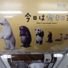 体重計を睨んで…