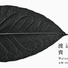 500m美術館 Vol.46 渡辺行夫　個展  「資源カメラ」
