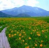 １５位　福島県　尾瀬ヶ原の風景（尾瀬国立公園、日本百景）