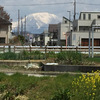 新たな散歩道　～ 芹川右岸河川敷の遊歩道 ～