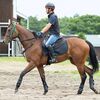 ９月２４日付でＪＲＡの競走馬登録が完了。ゲート試験合格に向けて練習を重ねています。☆ルージュセリーズ