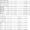 アンチエイリアスは情報量を増やす