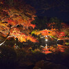 醍醐寺・秋期夜間拝観