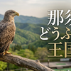 【2026年GW】今年のGWは那須どうぶつ王国へ！マヌルネコから大迫力バードショーまで、見どころやイベントを紹介していきます！