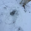毎日楽しい〜