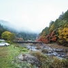 香嵐渓、紅葉、朝の陽ざし