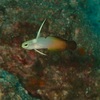 海洋速報　9月２４日（月）