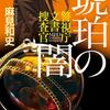 琥珀の闇　警視庁文書捜査官　/　麻見和史