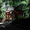 大神神社写真館(１１/６)