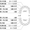 子どもの歯っていつ生える？上手な仕上げ磨きのコツを教えます