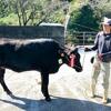 県種牛共進会　日高川町の中川さんの雌牛「なのは号」が最優秀賞　〈2024年11月14日〉