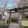 ひがし茶屋街・泉鏡花記念館・金沢桜の名所宇多須神社散策！周辺マップ・混雑・駐車場詳細！