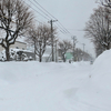 03, 03. 2021　雪・雪・雪