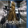 Avalon　鑑賞メモ