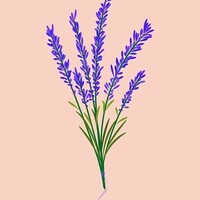 【ベンゾ断薬｜4年目】離脱症状・ホルムアルデヒド・柔軟剤・化学物質過敏症・認知症｜2023年7月⑤