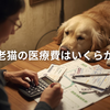【老犬・老猫の医療費はいくらかかる？】実際の費用と備え方｜家計見直しのポイント