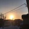 雪に埋もれて・・・