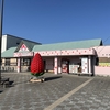 東京の美術館巡りをすべく久しぶりに新鹿沼駅に赴いたらイチゴだらけになってた