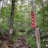初めての谷川連峰、平標山〜仙ノ倉山