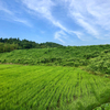 八幡堤（新潟県佐渡）