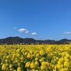 ライドシェア開始記念日　令和6年4月9日
