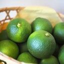 大分♨のんびり日和