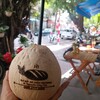 ベトナム🇻🇳 ハノイ｜Hanoi Vietnam｜旅ブログ②｜Travel  Blog ｜私の初体験｜My first experience♡｜お洒落なベトナム料理レストラン｜Good for EAT place🍴