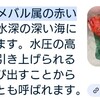 今だけ！