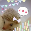 くるみのおうち