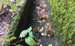 記事を見る