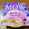 【mow ブルーベリーレアチーズ】まずいって本当？実食レビュー、他の濃厚アイスと比較。