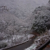 鎌ヶ岳、雪のち樹氷