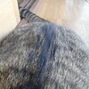 おすすめ猫用ブラシを使ってみました