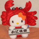 タマさんのお部屋(跡地)