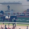 引退馬を振り返る3 レッドクレメンス