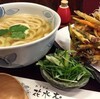 いりこと野菜のかき揚げうどん