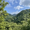 ６月の摩耶山