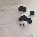 うつくしい劇伴