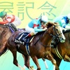 (競馬)関屋記念予想🏇