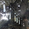 ５００個の風鈴の涼しげな音色が響く池上本門寺
