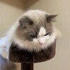 ふくちゃんが僕を待っていてくれたこと