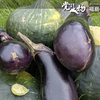 本日の庭の恵み、イタリアントマト、ナス、カボチャ、オクラ、アスパラガス、空心菜