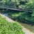 6月30日(月)秩父フライフィールドの河川情報