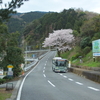 ３年前の桜（谷峨駅）