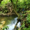 5月第一週の振り返りとか