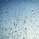雨上がりの夜明け